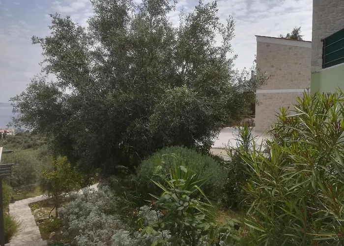 Stone House In Olive Grove בית נופש