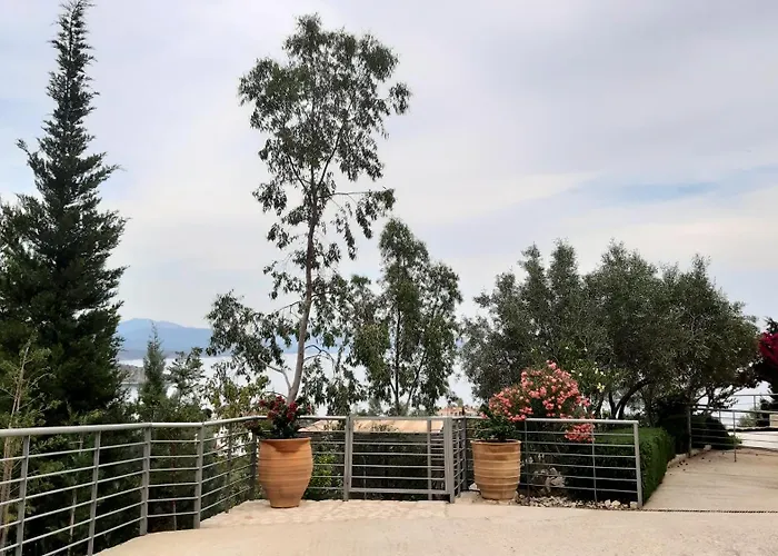 Stone House In Olive Grove בית נופש טולון