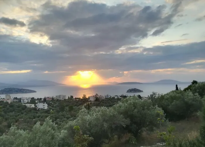 Stone House In Olive Grove