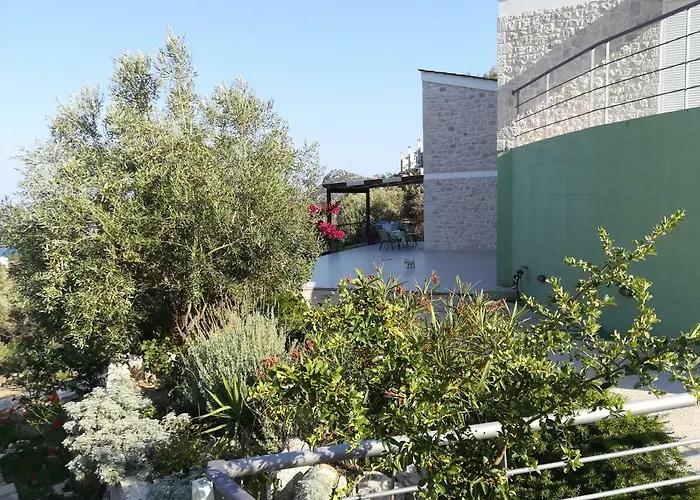 펜션 Stone House In Olive Grove *