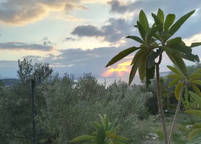 Σπίτι διακοπών Stone House In Olive Grove
