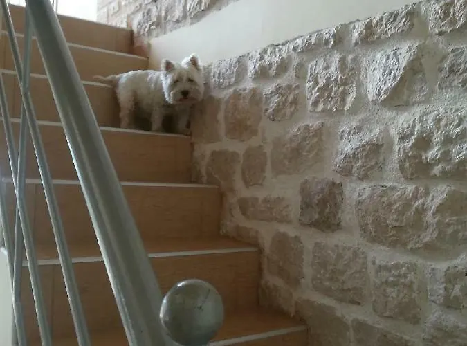 Stone House In Olive Grove *