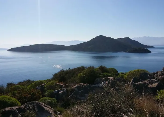 Stone House In Olive Grove * טולון